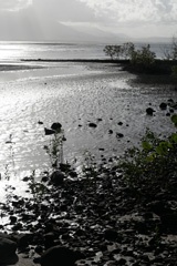 P1011498a.jpg